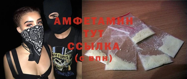 гидра Арсеньев