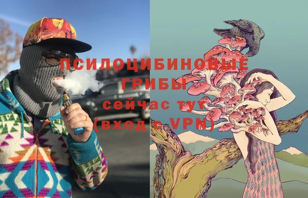 гидра Арсеньев