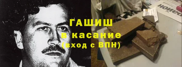 гидра Арсеньев