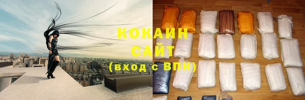 шишки Аркадак