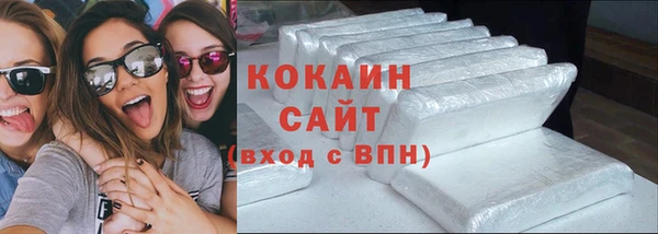 шишки Аркадак