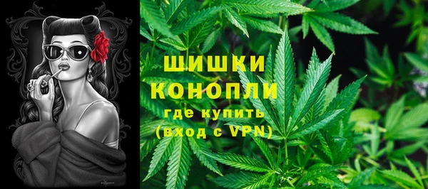 гидра Арсеньев