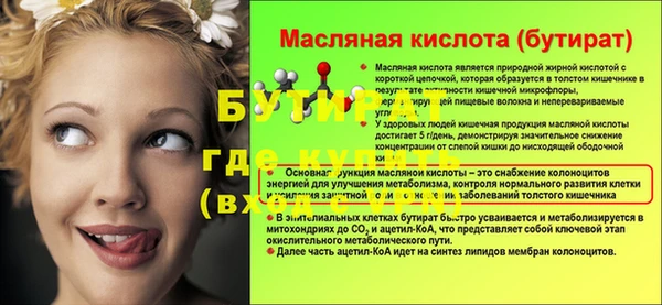 шишки Аркадак