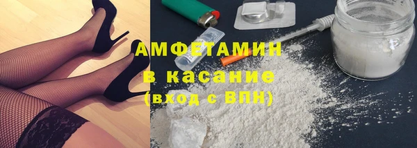 шишки Аркадак