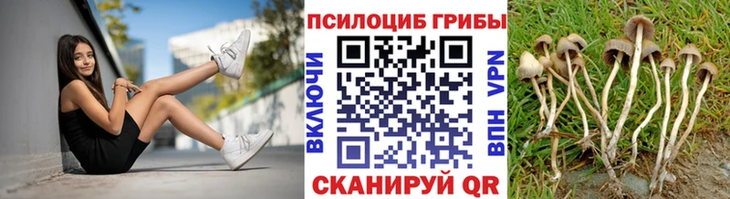 Псилоцибиновые грибы Magic Shrooms Балтийск