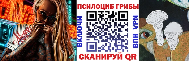 Псилоцибиновые грибы GOLDEN TEACHER  хочу наркоту  Балтийск 
