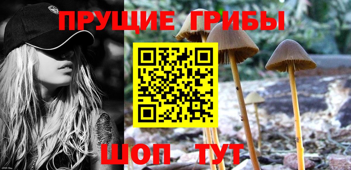 Галлюциногенные грибы прущие грибы  Вход с VPN  Балтийск 