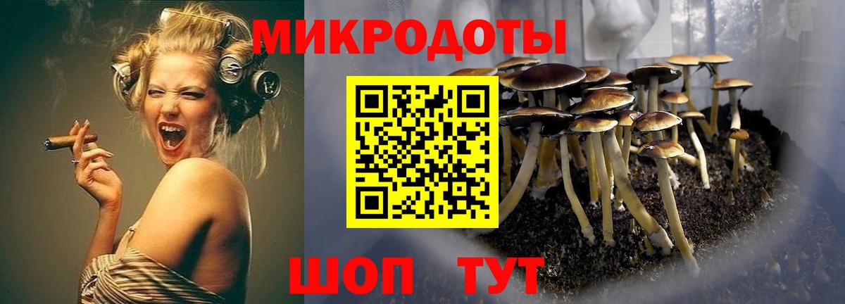 Галлюциногенные грибы Magic Shrooms Балтийск