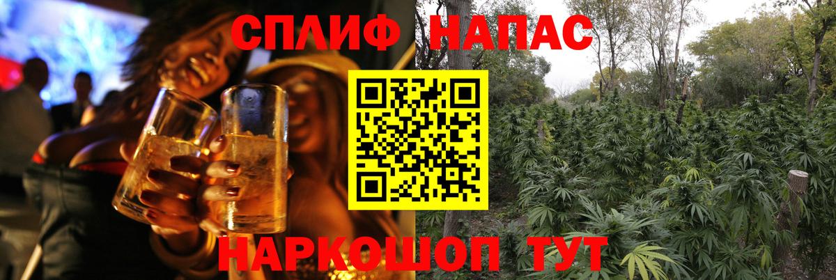 Конопля гибрид Балтийск